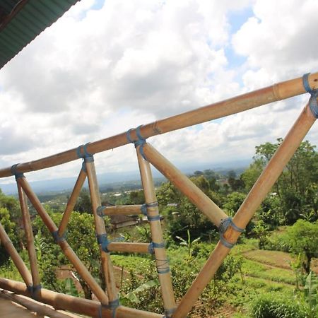 贝都古Bali Tree House Pelangi公寓 外观 照片