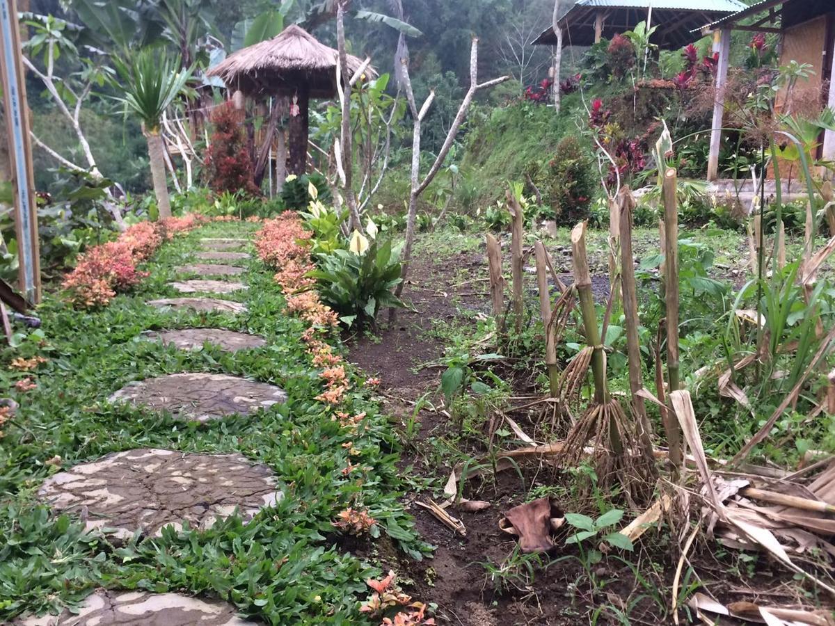 贝都古Bali Tree House Pelangi公寓 外观 照片