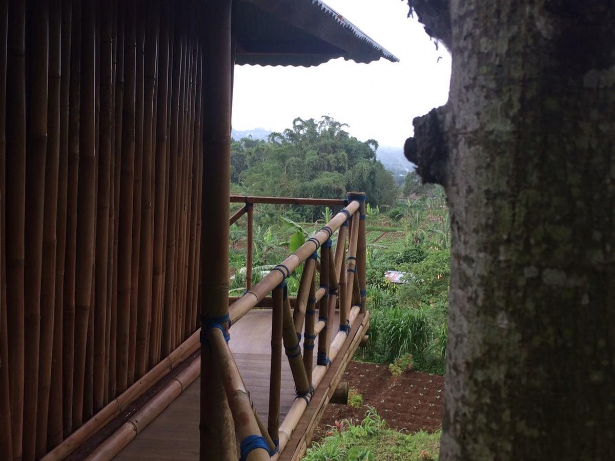 贝都古Bali Tree House Pelangi公寓 外观 照片