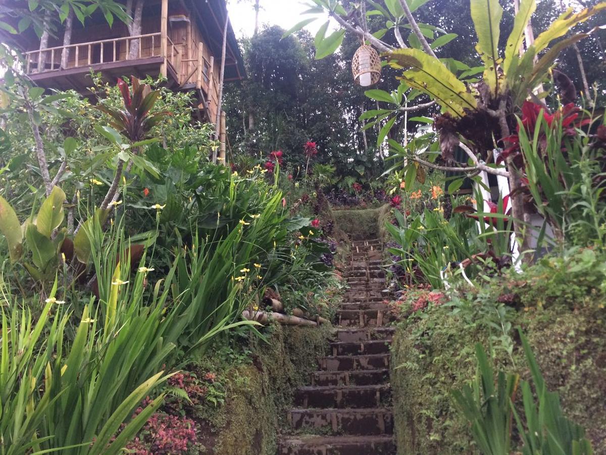 贝都古Bali Tree House Pelangi公寓 外观 照片