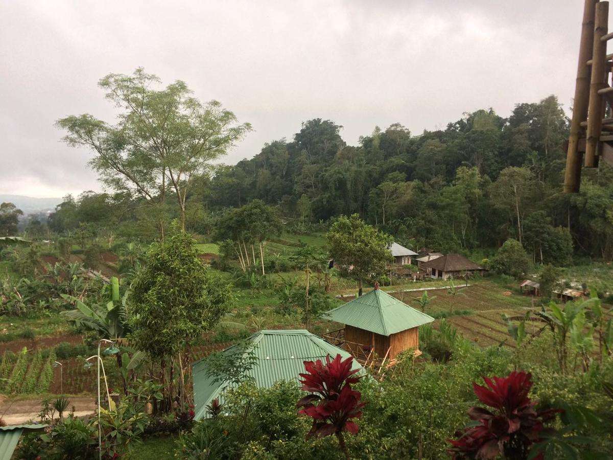 贝都古Bali Tree House Pelangi公寓 外观 照片