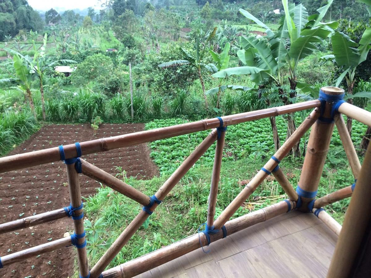 贝都古Bali Tree House Pelangi公寓 外观 照片