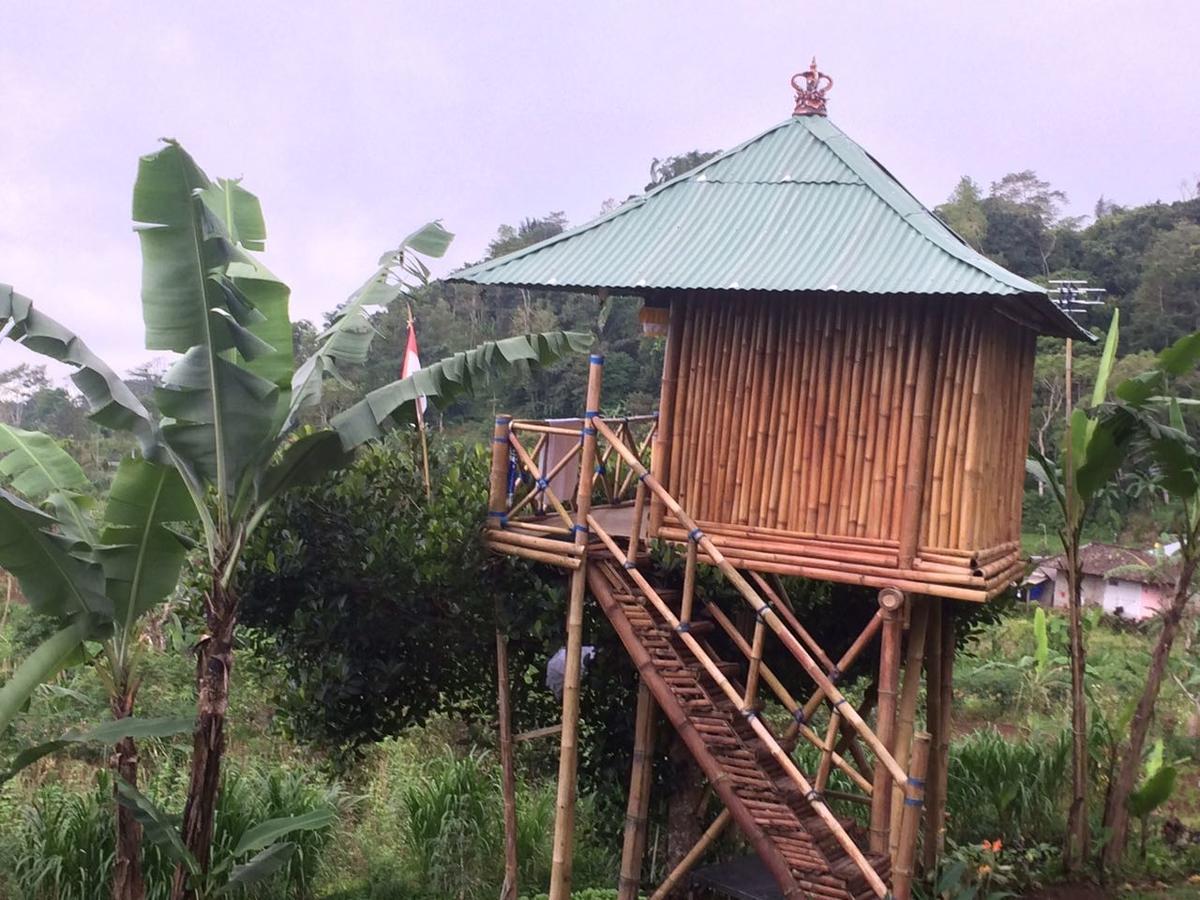 贝都古Bali Tree House Pelangi公寓 外观 照片