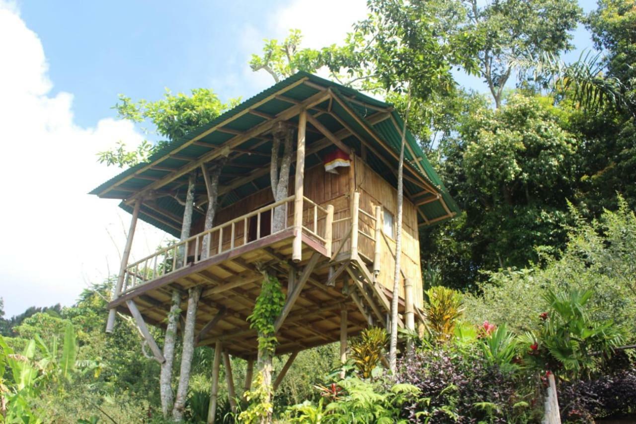 贝都古Bali Tree House Pelangi公寓 外观 照片