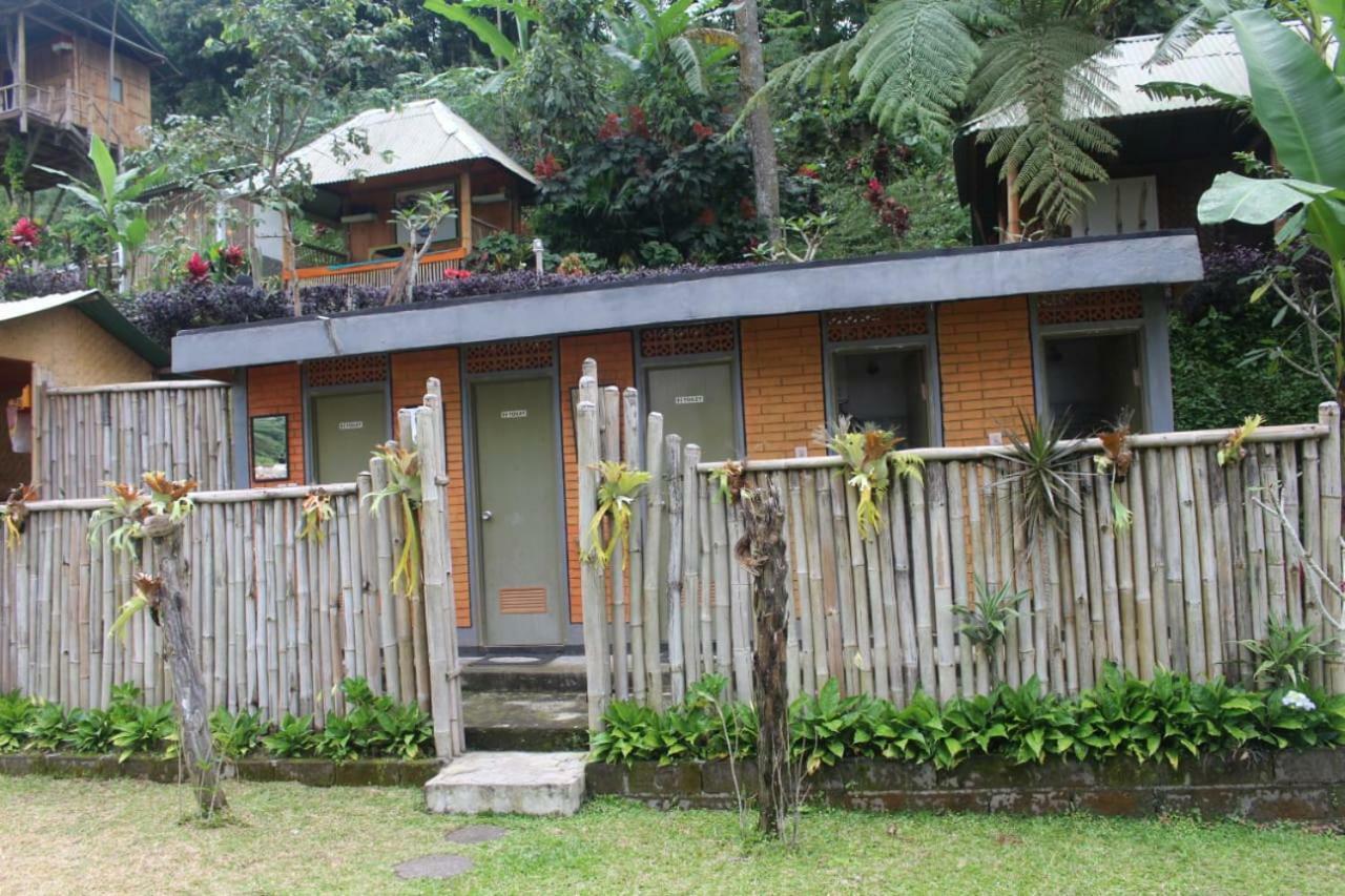 贝都古Bali Tree House Pelangi公寓 外观 照片