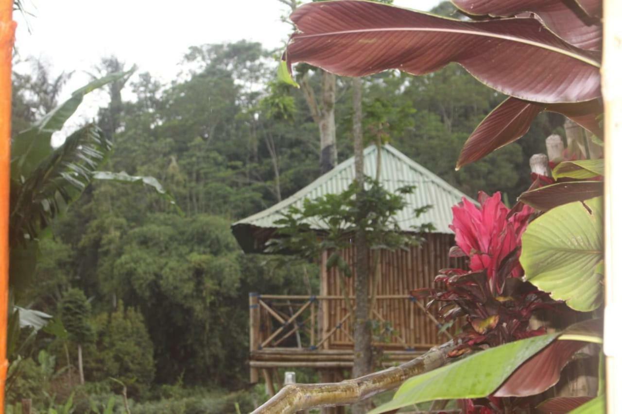 贝都古Bali Tree House Pelangi公寓 外观 照片