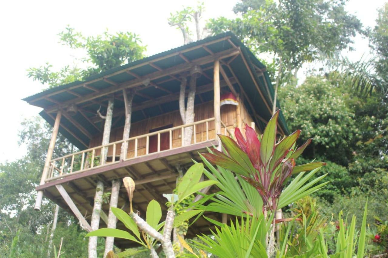 贝都古Bali Tree House Pelangi公寓 外观 照片