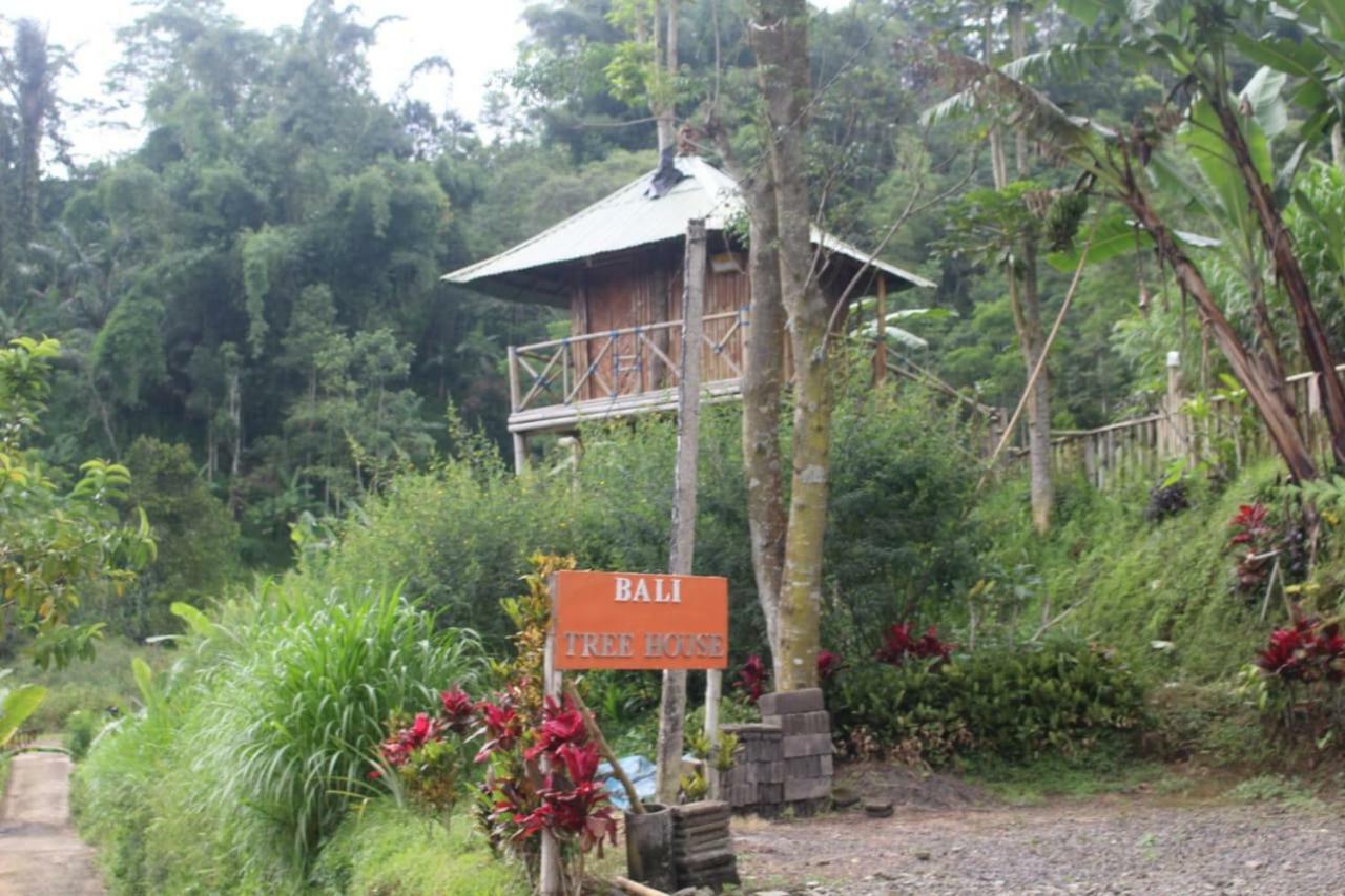贝都古Bali Tree House Pelangi公寓 外观 照片