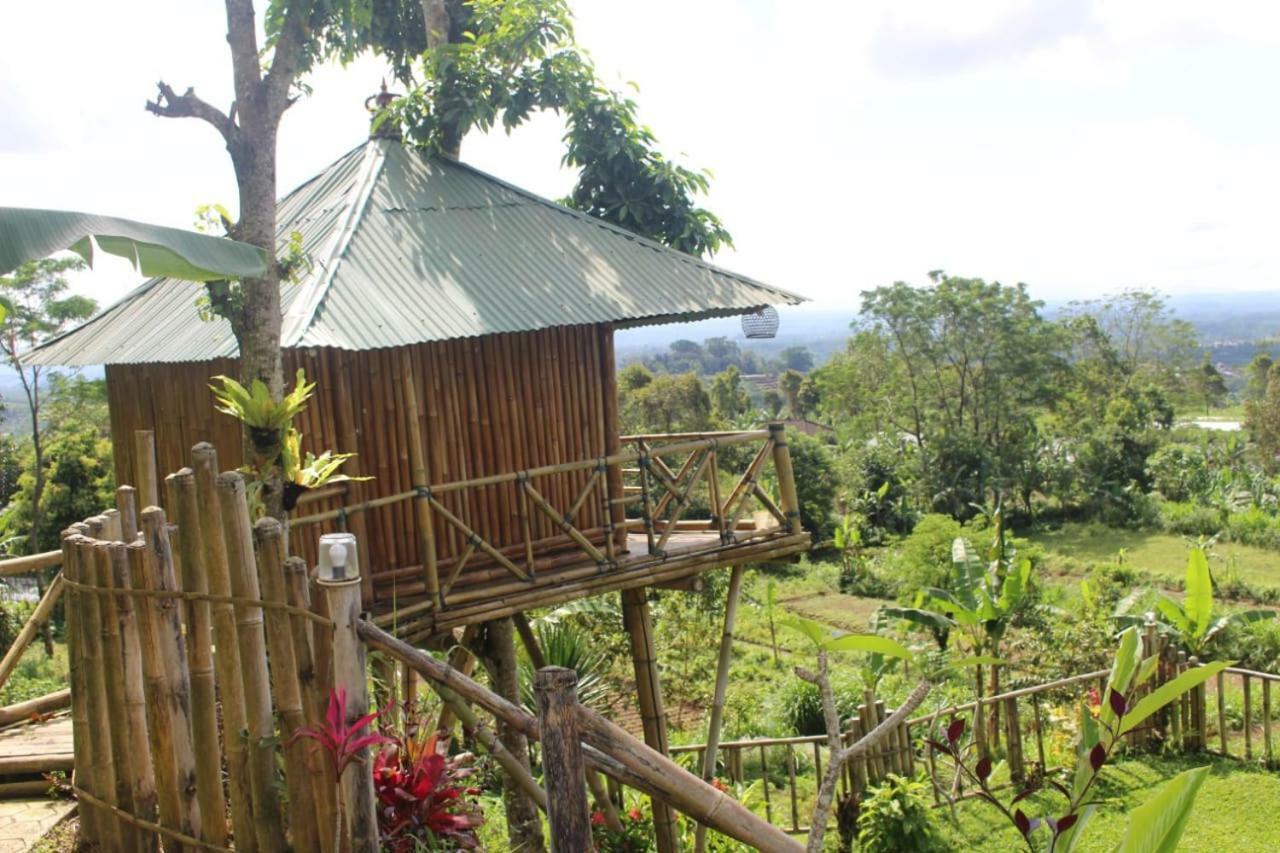 贝都古Bali Tree House Pelangi公寓 外观 照片