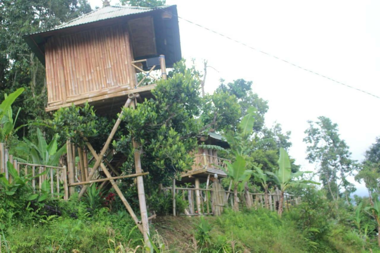贝都古Bali Tree House Pelangi公寓 外观 照片