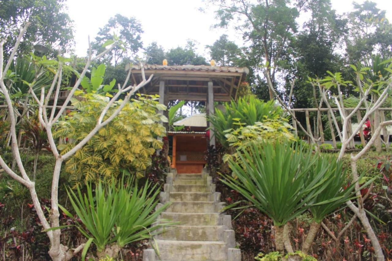 贝都古Bali Tree House Pelangi公寓 外观 照片