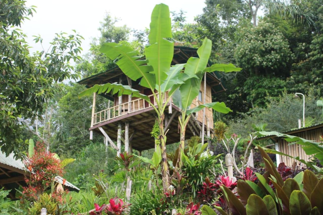 贝都古Bali Tree House Pelangi公寓 外观 照片