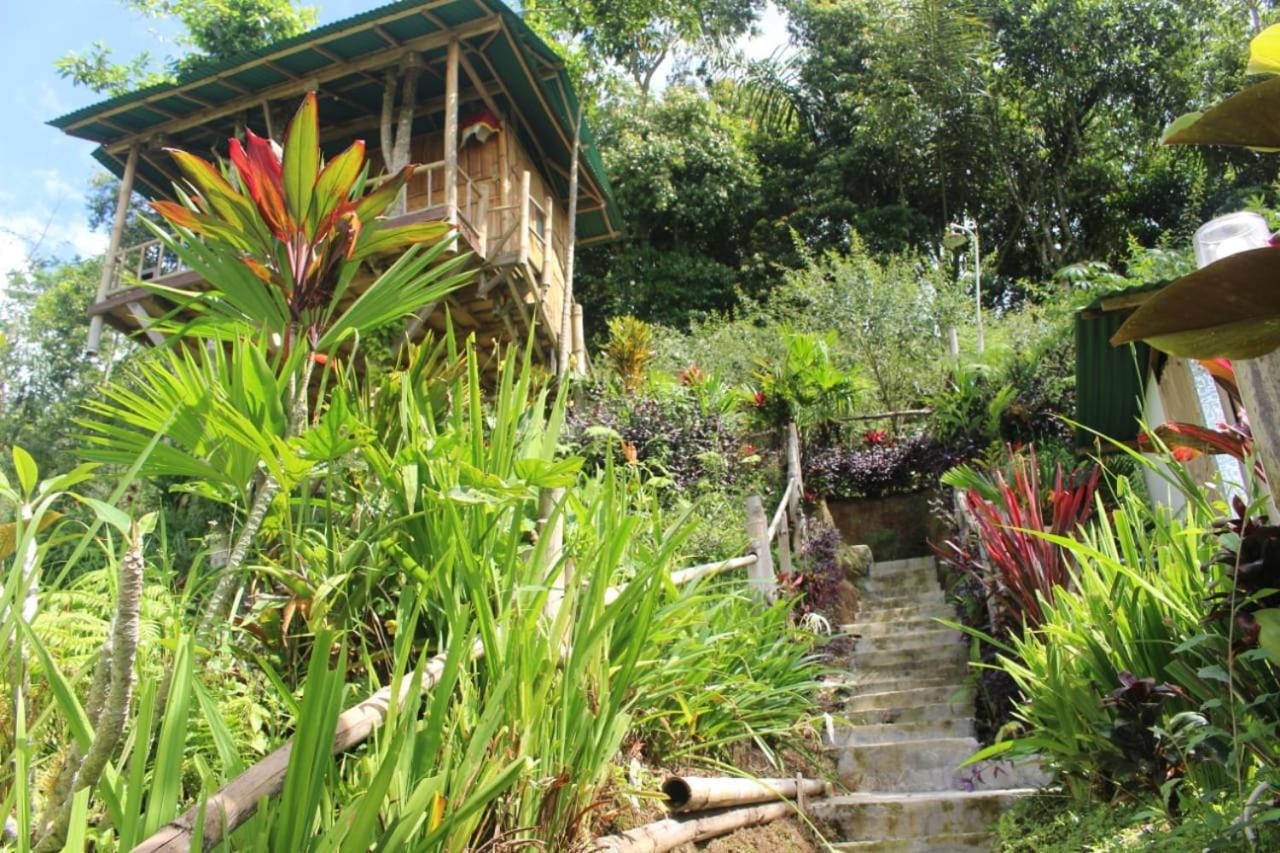 贝都古Bali Tree House Pelangi公寓 外观 照片