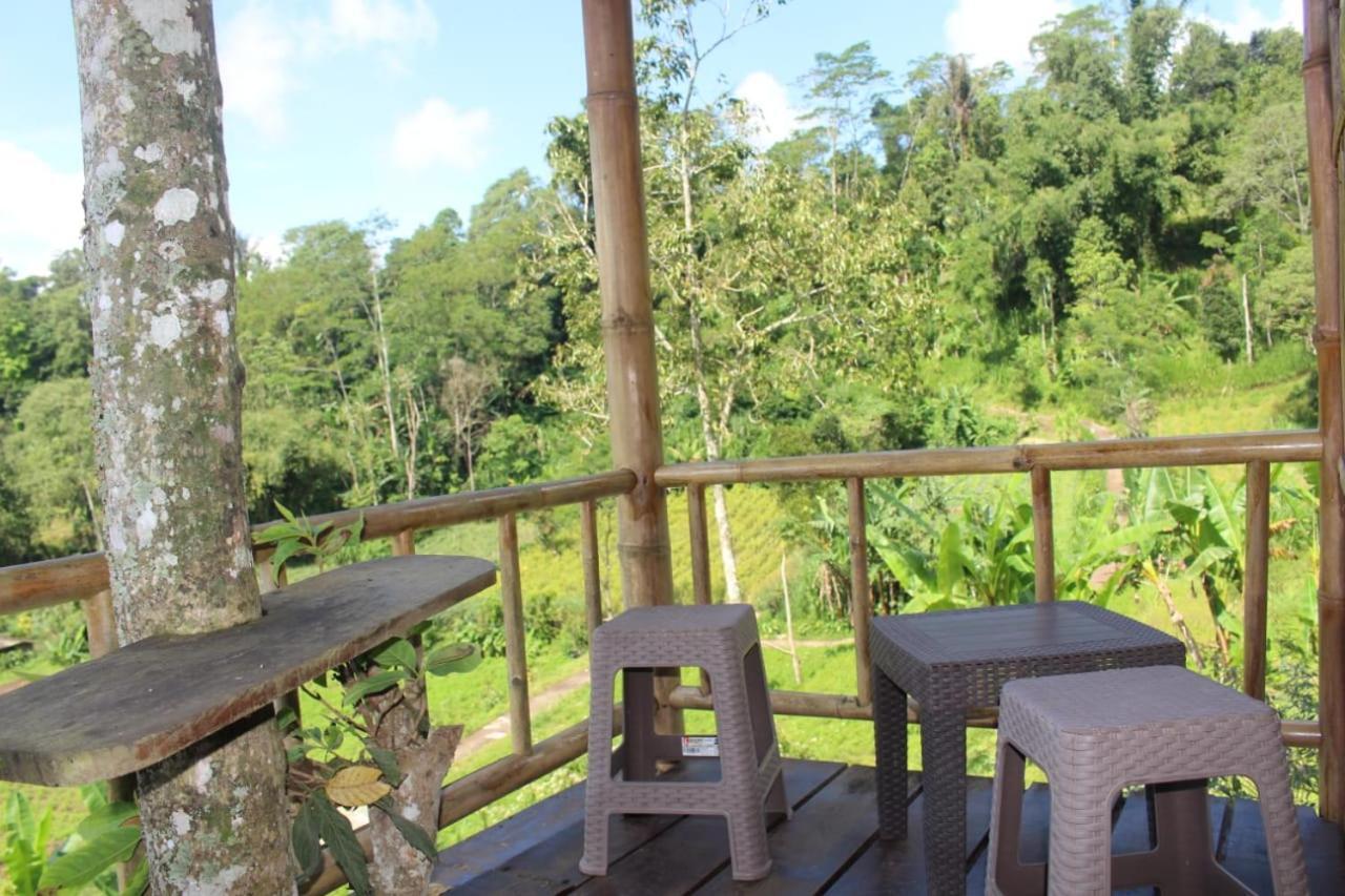 贝都古Bali Tree House Pelangi公寓 外观 照片