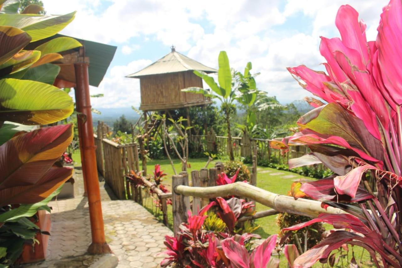 贝都古Bali Tree House Pelangi公寓 外观 照片