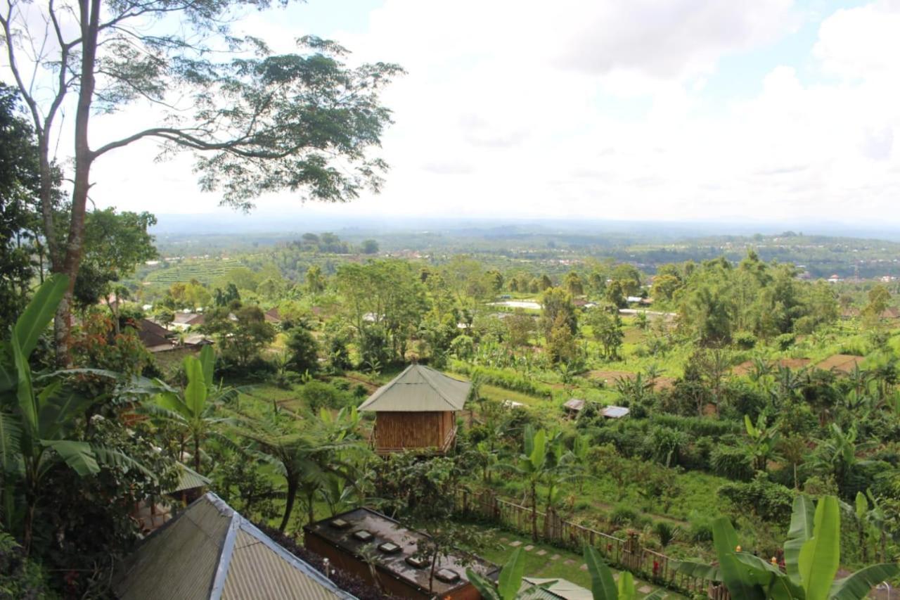 贝都古Bali Tree House Pelangi公寓 外观 照片