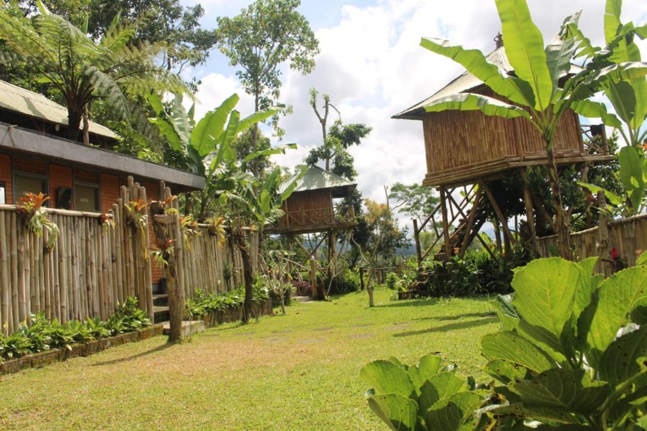 贝都古Bali Tree House Pelangi公寓 外观 照片