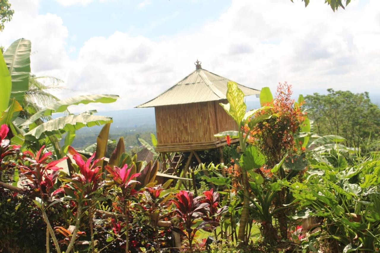 贝都古Bali Tree House Pelangi公寓 外观 照片