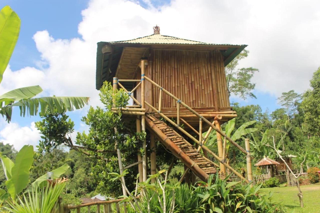 贝都古Bali Tree House Pelangi公寓 外观 照片