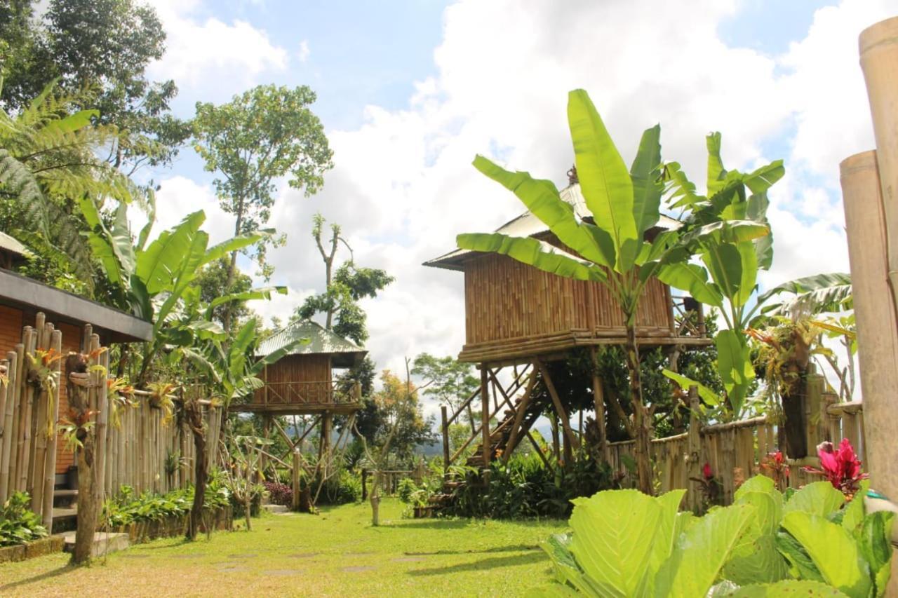 贝都古Bali Tree House Pelangi公寓 外观 照片