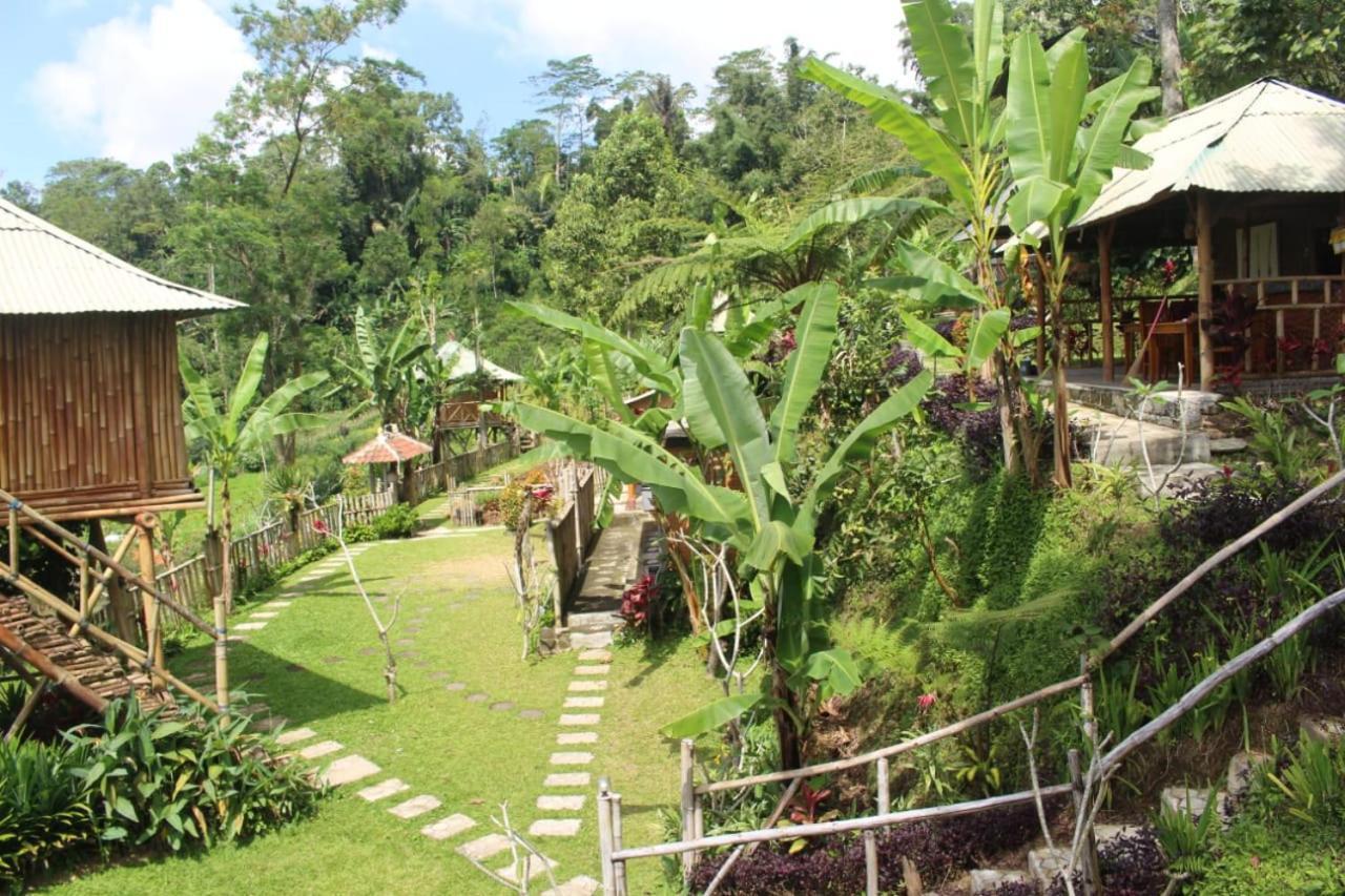 贝都古Bali Tree House Pelangi公寓 外观 照片