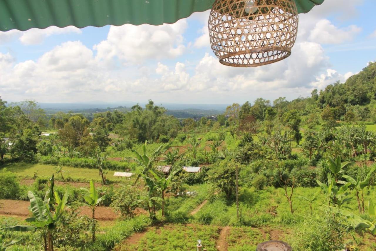 贝都古Bali Tree House Pelangi公寓 外观 照片