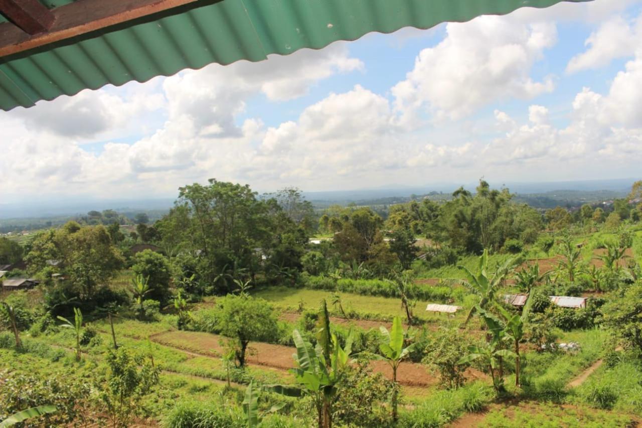 贝都古Bali Tree House Pelangi公寓 外观 照片