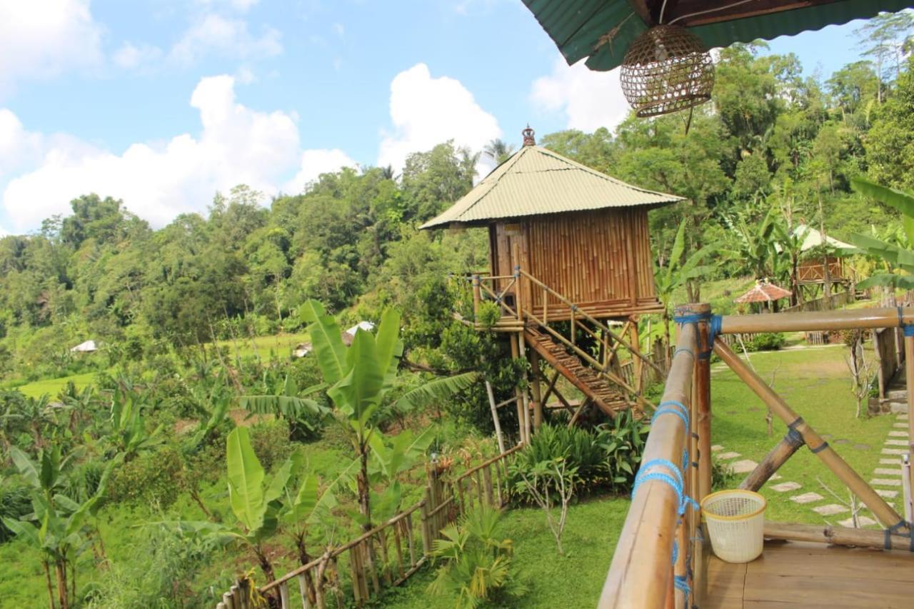 贝都古Bali Tree House Pelangi公寓 外观 照片