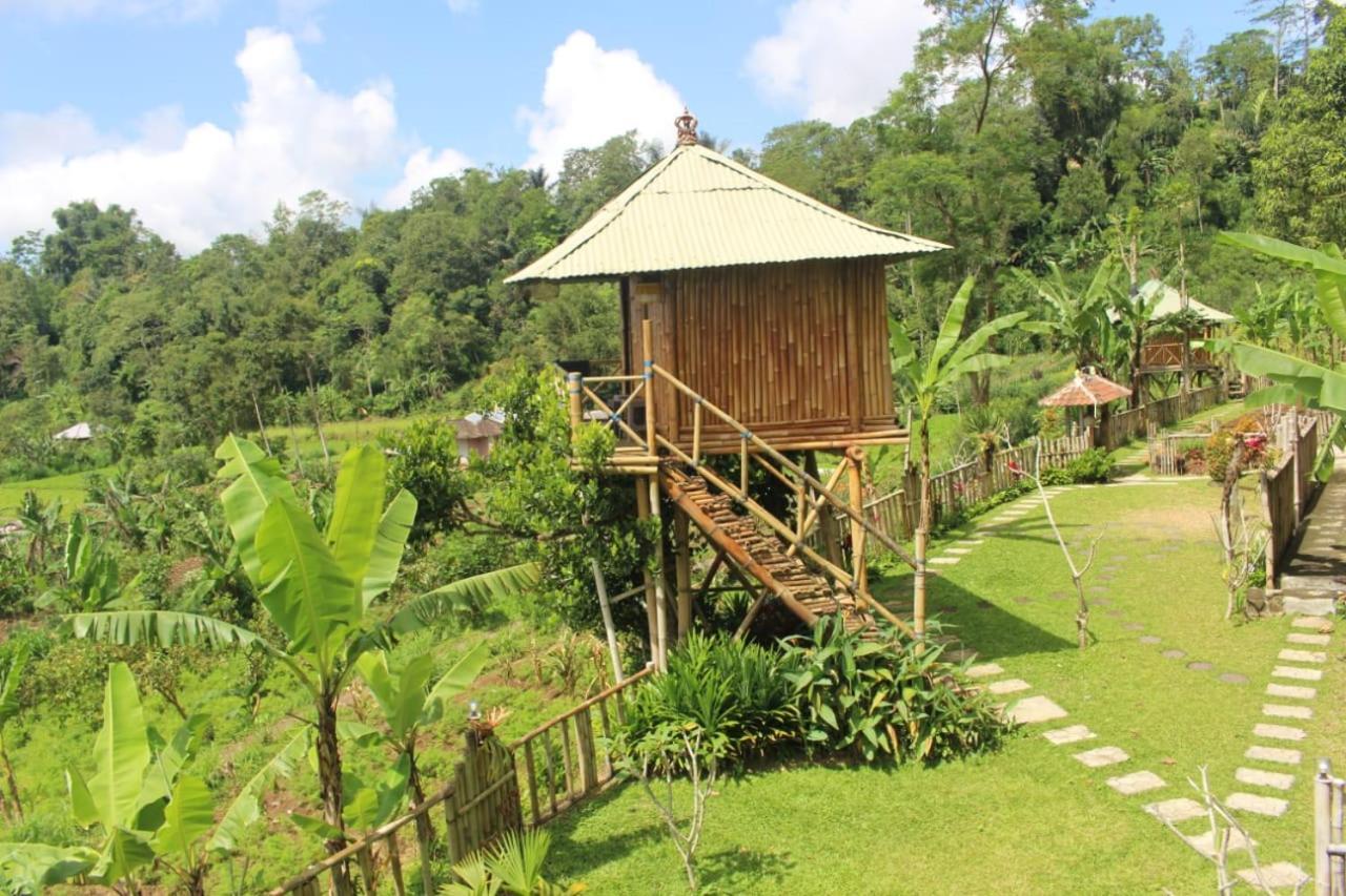 贝都古Bali Tree House Pelangi公寓 外观 照片