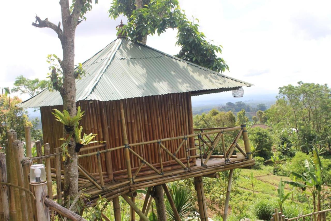 贝都古Bali Tree House Pelangi公寓 外观 照片