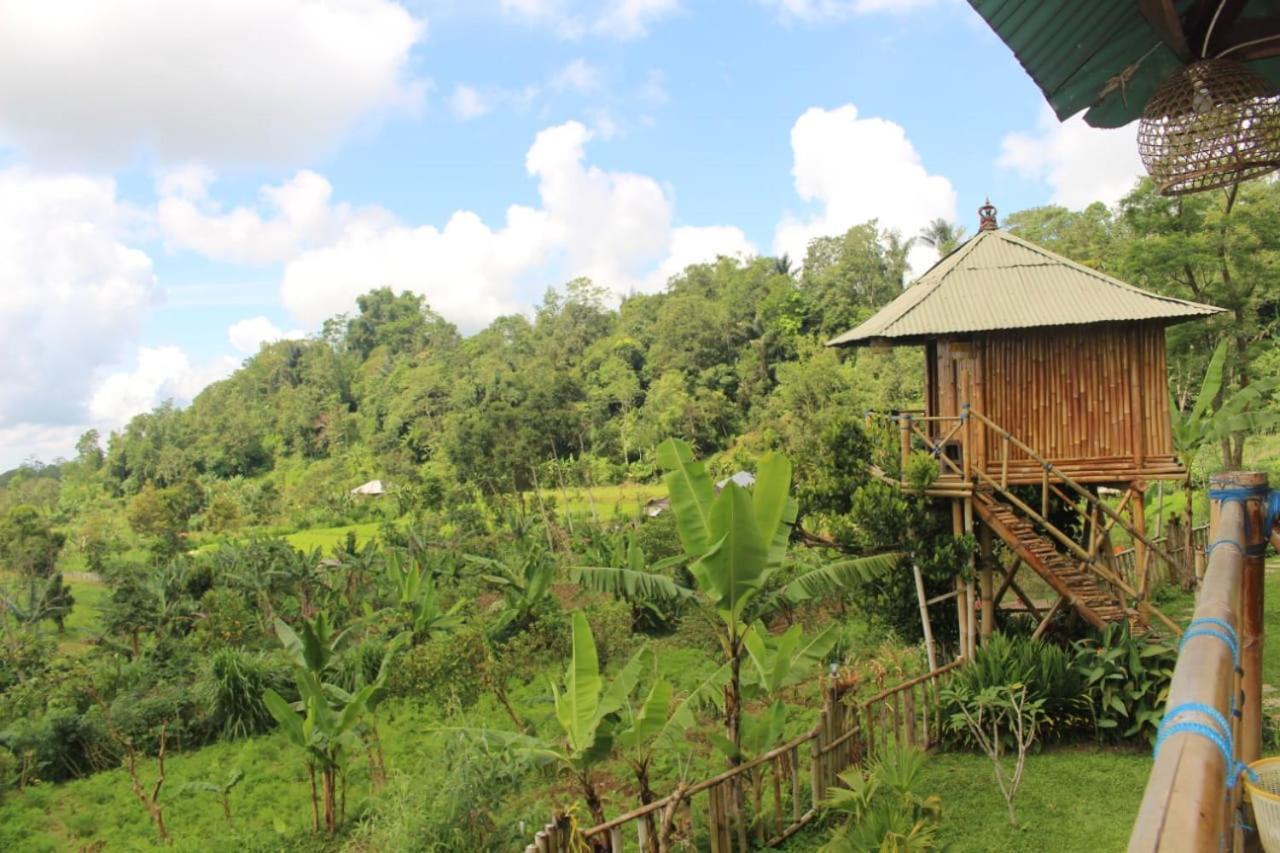 贝都古Bali Tree House Pelangi公寓 外观 照片