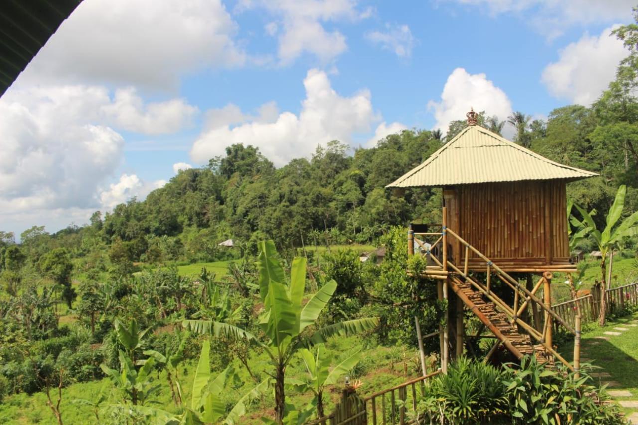 贝都古Bali Tree House Pelangi公寓 外观 照片