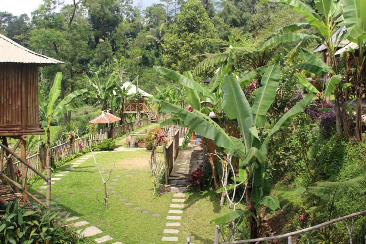 贝都古Bali Tree House Pelangi公寓 外观 照片